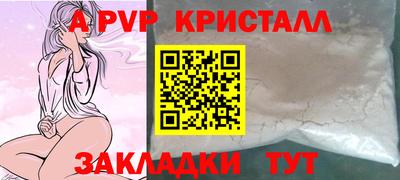 индика Кингисепп