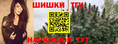 индика Кингисепп