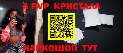 индика Кингисепп