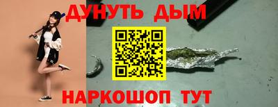 индика Кингисепп