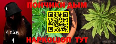индика Кингисепп
