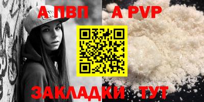 индика Кингисепп
