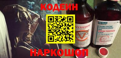 индика Кингисепп