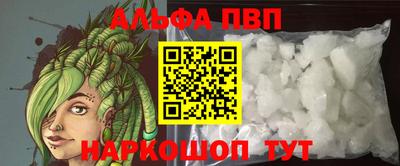индика Кингисепп